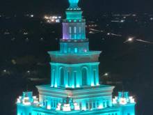 Hình ảnh Cho Thuê Căn Hộ Vinhome Ocean Park 2 Phòng Ngủ