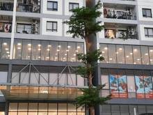 Hình ảnh Bán Nhà  Phố Xuân La, 40m2, 4 tầng, MT 4m, ô tô tránh, nhỉnh 6 tỷ.