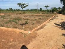 Hình ảnh Đất Vườn Cây Gáo Trảng Bom 1000m2