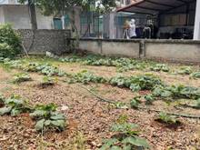 Hình ảnh Ông anh đẹp trai nhờ bán nhanh 100m2  Đào Xuyên, Xã Đa Tốn, Gia Lâm,HN