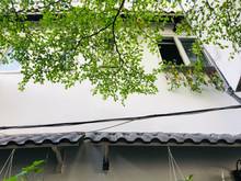 Hình ảnh Bùi Hữu Nghĩa ,Vũ Tùng  P 2 , Bình Thạnh , 1,55 TỶ