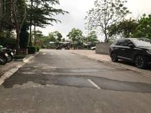 Hình ảnh Cần bán gấp lô góc 133m khu 31ha mặt phố Chính Trung, Trâu Quỳ