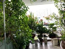 Hình ảnh Bán Nhà Mới Hẻm Xe Hơi,  5 tầng , P13 Nơ Trăng Long Bình Thạnh