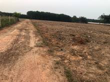 Hình ảnh Bán đất mẫu Long Nguyên, Bàu Bàng, DT:206m x 95m, SHR, giá 28 tỷ