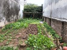 Hình ảnh Không sử dụng đến gia chủ cần bán gấp lô đất nằm tại xóm 1 xã Đông Dư
