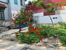Hình ảnh Bán hộ anh trai lô đất 47m2 tại An Đào E, Trâu Quỳ,Gia Lâm
