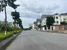 Hình ảnh Ông chú theo con sang nước ngoài định cư bán gấp căn Biệt thự Minh Tâm