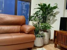 Hình ảnh HOT! bán chung cư Jamila khang điền căn 3PN-2WC giá 3tỷ750 ( có sổ)