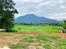 Hình ảnh Bán Đất Nghỉ Dưỡng Yên Bài Ba Vì, 1500m2 Đường rộng, Giá rẻ.