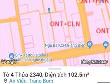 Hình ảnh Bán gấp lô đất thổ cư 102.5m2 gần ngay ngã 3 KCN Giang Điền