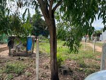 Hình ảnh Bán 320m2 FULL thổ. Khu dân cư.Gần QL lớn.SHR