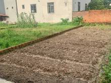 Hình ảnh Cần bán 64.2m2 (4,28x12) Lâm Tiên, Đông Anh. Đường 3M, Giá 2x tr/m2.
