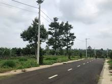 Hình ảnh bán đất lộc an - bảo lâm- lâm đồng