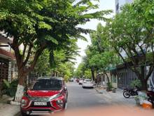 Hình ảnh Bán nhà Dương Quảng Hàm, Hải Châu, 4 tầng, DTSD: 288m2, 6.3 tỷ.