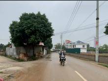 Hình ảnh Cần bán 108M2 (4.45x24) mặt đường 14, Minh Phú, SS, Kinh doanh tốt.