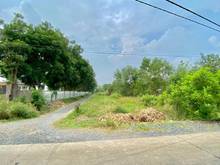Hình ảnh Đất vườn Nguyễn Thị Lắng 500m2 có 100m2 thổ cư, Tân Phú Trung