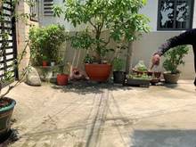 Hình ảnh Gấp bán nhà trần xuân soạn, tân hưng , quận7, dt 85m2, ngang 5,3m,7tỷ7