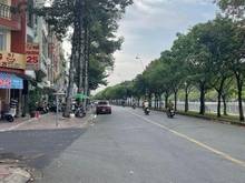 Hình ảnh Cần bán nhanh building MT Hoàng Sa quận 1, giá 61 tỷ - DT: 8x16m