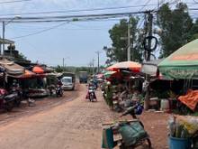 Hình ảnh Đất sào đồng phú sổ sẵn giả rẻ