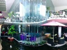 Hình ảnh Cho thuê mặt bằng làm CAFE SÂN VƯỜN tại đường Hồ Biểu Chánh, Phú Nhuận