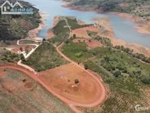 Hình ảnh CHÍNH CHỦ cần bán 6,7ha đất mẫu ở Lâm San, Cẩm Mỹ giáp ranh Bà Rịa Vũn