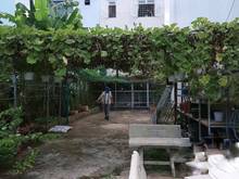 Hình ảnh Bán đất quận 8, trịnh quang nghị, khu phân lô, vuông vức, không lộ