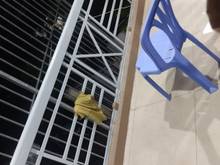 Hình ảnh Quận 12 nhà mới ở ngay, 79m2 nhỉnh 4 tỷ.