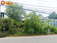 Hình ảnh Bán đất đường bến súc - 684m2 - 11x55 nở hậu 13m - 361m2 thổ cư - xã