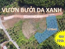 Hình ảnh Cần bán đất vườn vị trí đẹp ở ấp 3 Sông Trầu