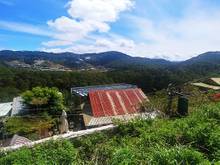 Hình ảnh Bán lô đất Hoàng Hoa Thám,  7 tỷ 3, P.10, view thung lũng đẹp
