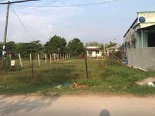 Hình ảnh Chủ gửi lô đất vườn đường Nguyễn Thị Lắng ( 500m2) có 150m2 thổ cư.