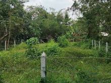 Hình ảnh Chủ gửi lô đất gần chợ Xuân Thới Thượng (5x15) Full thổ cư. Sổ liền.