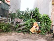 Hình ảnh Cần sang tên nhanh mảnh đất View vườn hoa khu tái định cư Trâu Qùy