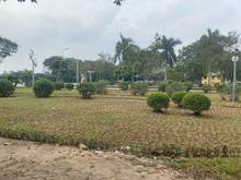 Hình ảnh Bán căn góc đất đấu giá Tầm Dâu, DT 99.6m, view vườn hoa