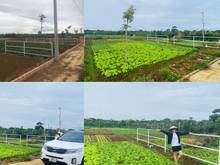 Hình ảnh Hấp dẫn Trang MB66.COM Chính Thức - MB 66 Uy Tín nhất Bảo Lộc. Đất nền ngay trung tâm giá 4.5tr/m2