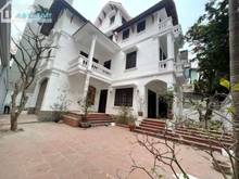 Hình ảnh Căn Nhà 183m2 Phố Liễu Giai-Trung Tâm Ba Đình- 17m Mặt Tiền- Giá 55 tỷ