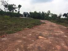 Hình ảnh [GẤP] cần tiền bán gấp hơn sào bưởi chỉ 750 triệu thuộc trảng bom