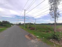 Hình ảnh Cần tiền bán đất đường Tam Đa, phường Long Trường, Quận 9. Giá 2.4 tỷ.