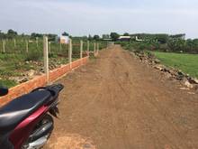 Hình ảnh Cần tiền ra gấp gần 1 sào đất giá rẻ thuộc vĩnh tân vĩnh cửu.