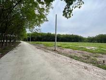 Hình ảnh Kẹt Vốn Gia Đình Chúng Tôi Cần Bán Gấp Đất 830trieu/1178m2.