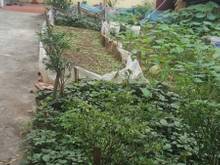 Hình ảnh Chính chủ bán 70m2 đất ở Du ngoại, Mai Lâm, Đông Anh. Sổ đỏ sẵn sàng