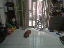 Hình ảnh Bán nhà Bình Tiên Quận 6, 42m2, SHR, nở hậu, giảm 500tr