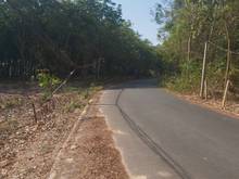 Hình ảnh Còn 1 lô duy nhất DT2000m2, đường Tân Bình 04, cách DT741 200m.
