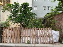 Hình ảnh Chủ nhà gửi bán nhanh mảnh đất đẹp mặt ngõ 213 Ngô Xuân Quảng