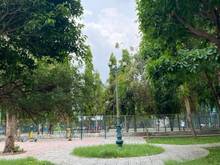 Hình ảnh Bán Biệt Thự mới ngay KĐT AP-AK, Q2,Dt:8x20m, Hầm T2L+ mái, giá 40 tỷ