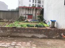 Hình ảnh Bán 52,3m2 ngõ 137 Phố Việt Hưng, Quận Long Biên. Đường ô tô 7 chỗ