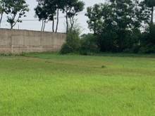 Hình ảnh xã Phước Vĩnh An, DT: 2342m2, giá 18.7 tỷ