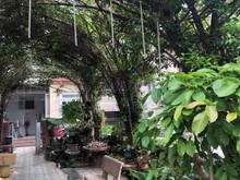 Hình ảnh Biệt phủ 600m2 Trung tâm quận Tân Bình, đường lớn, thu nhập tốt; 84 tỷ