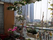 Hình ảnh Bán nhà Linh Đàm, Hoàng Mai, 34m2, giá: 2 tỷ, MT: 4m, xây 4 tầng, 4 ng