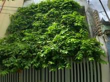 Hình ảnh Bán Nhà Hẻm Đường Cộng Hòa Phường 13,Q.Tân Bình DT:56m2 Giá Chỉ 8,5 tỷ